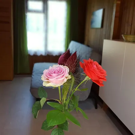 Charming Bungalow With Garden Near Sea In * Ostseebad Kühlungsborn